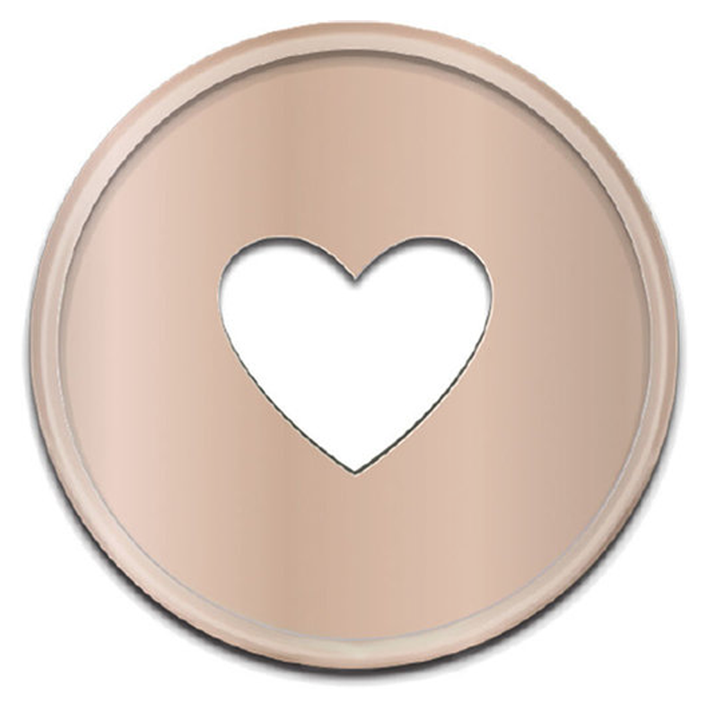 Happy planner rose gold discs store